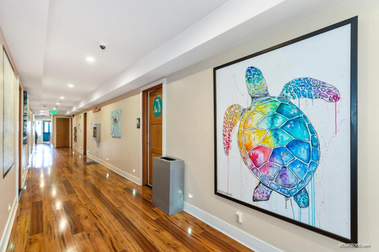 Albergue Samesun Ocean &